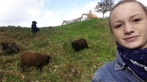Selfie mit Schafen